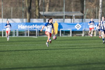 Bild 298 - wBJ Hamburger SV - Hertha BSC : Ergebnis: 2:1